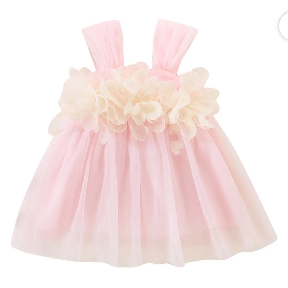 Toddler Baby Party Floral Mesh Lace Dress - Picture 1 of 6